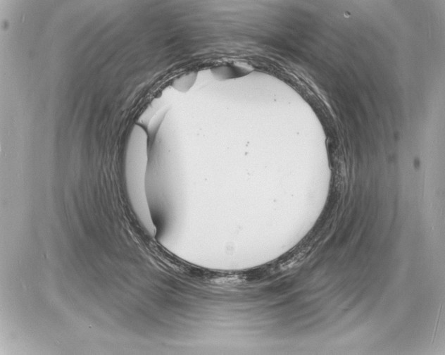 X0000085280505200704092210