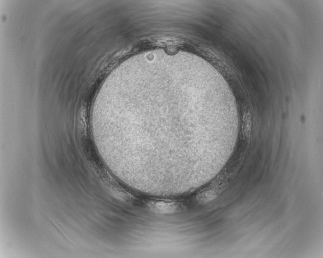 X0000085280506200704092210