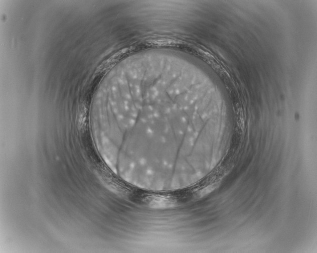 X0000085280507200704092210