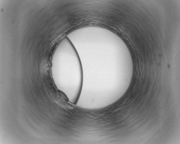 X0000085280508200704092210