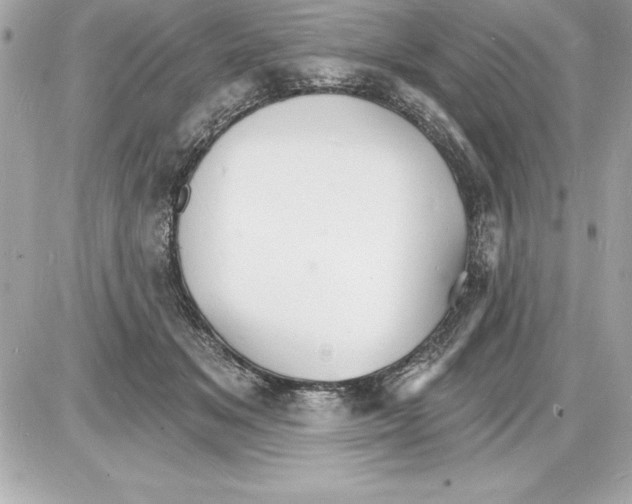 X0000085280509200704092210