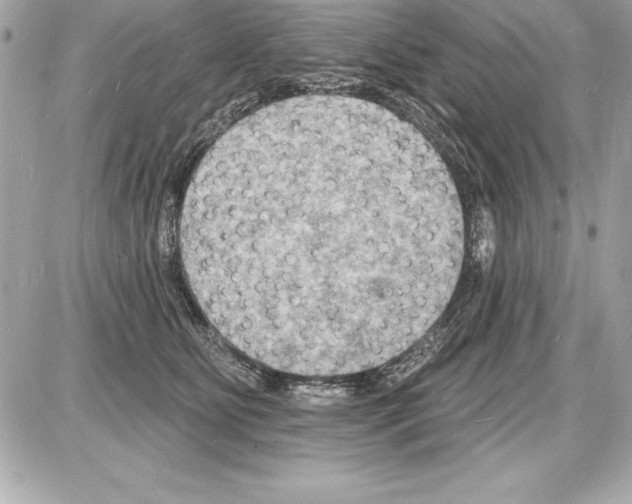 X0000085280515200704092210