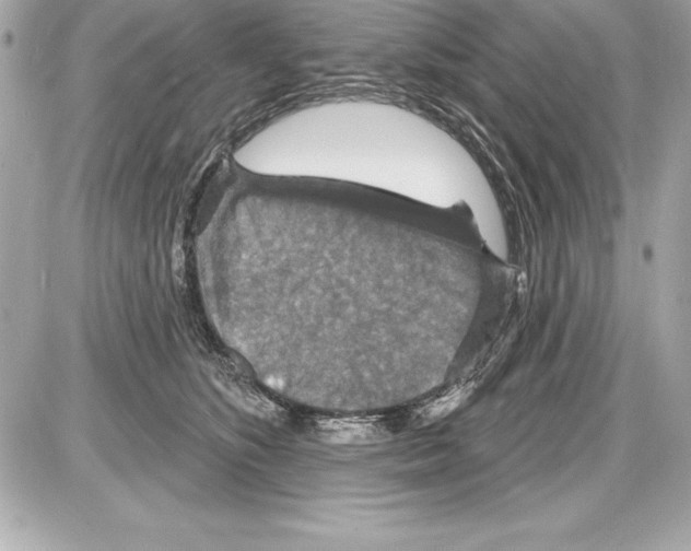 X0000085280516200704092210