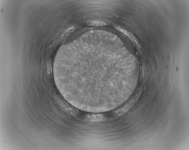 X0000085280517200704092210