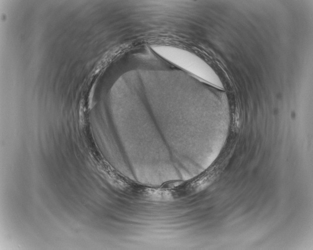 X0000085280520200704092210