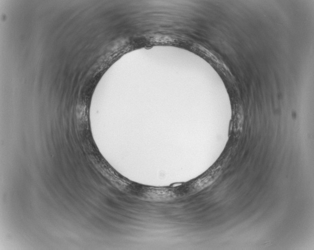 X0000085280521200704092210