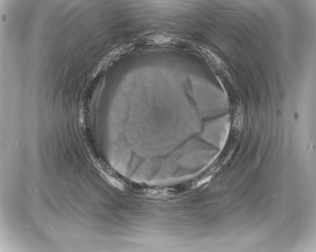 X0000085280524200704092210