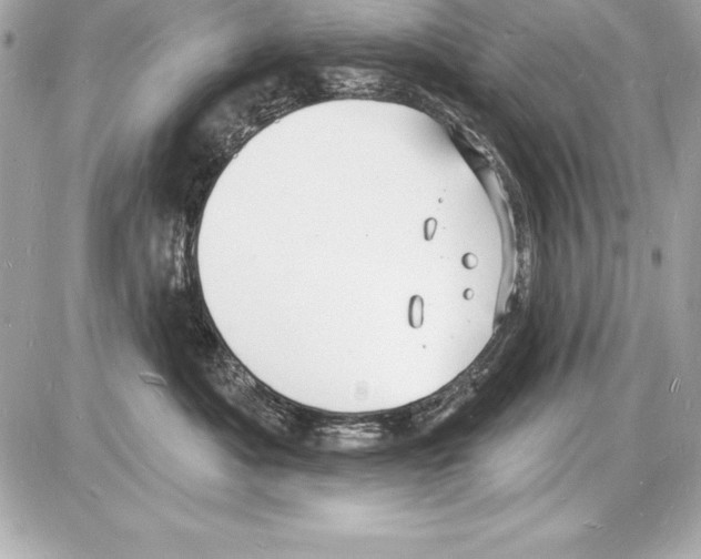 X0000085280525200704092210