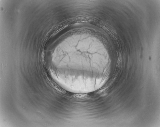 X0000085280526200704092209