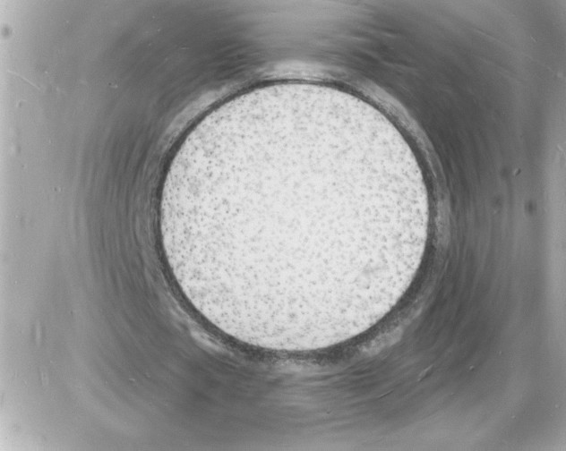 X0000085280529200704092209