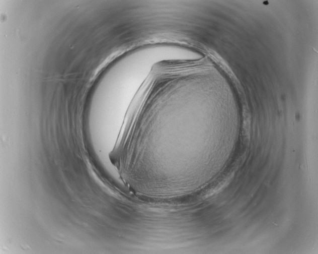 X0000085280530200704092209