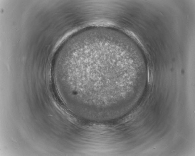 X0000085280531200704092209