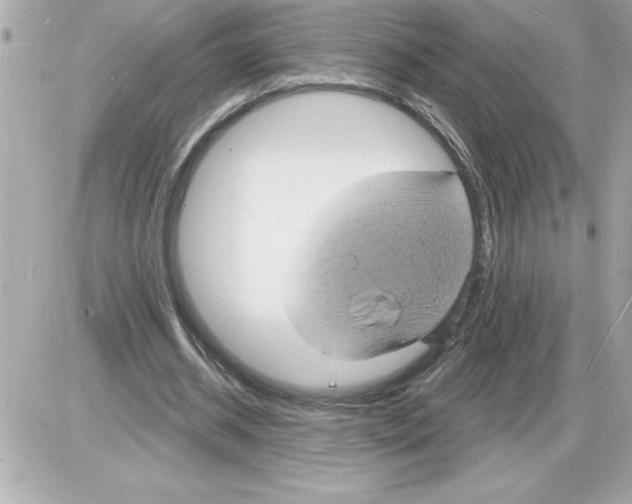 X0000085280534200704092209