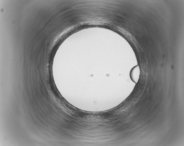 X0000085280535200704092209