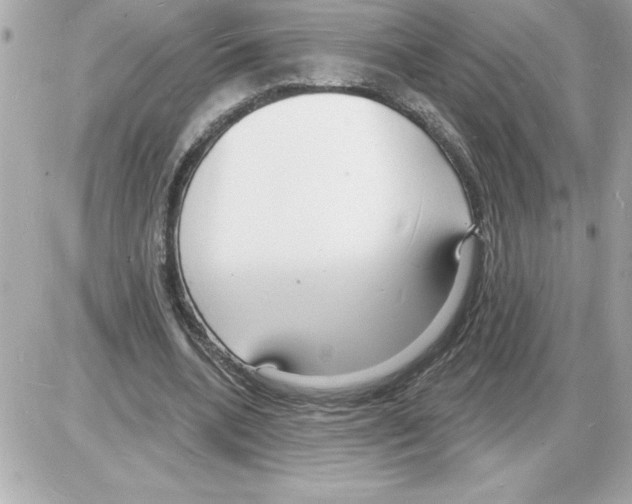 X0000085280536200704092209