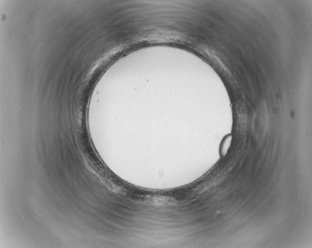 X0000085280539200704092209