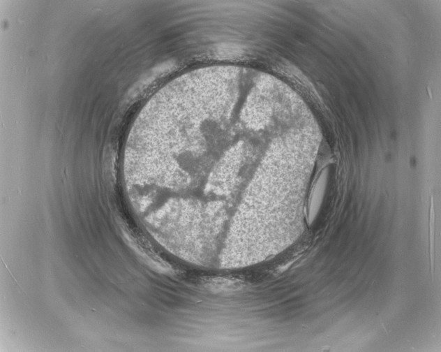 X0000085280542200704092209