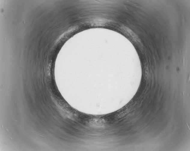 X0000085280543200704092209