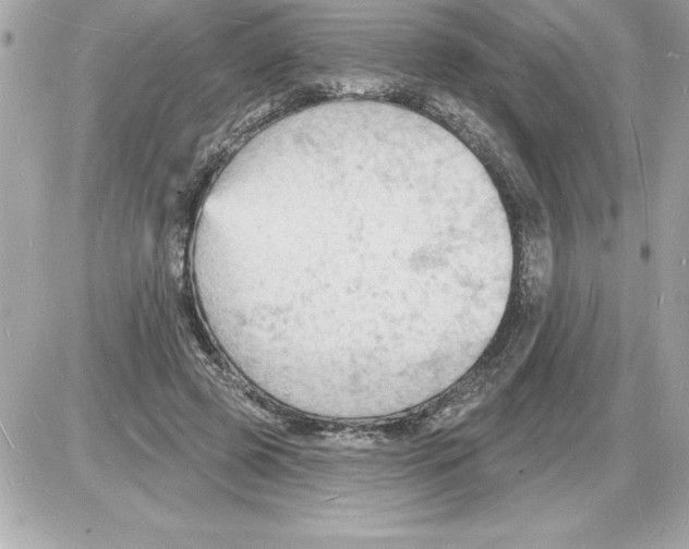 X0000085280545200704092209