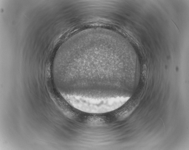 X0000085280547200704092209