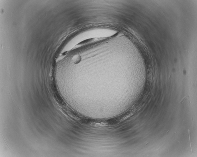 X0000085280548200704092209