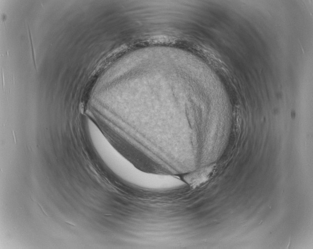 X0000085280550200704092209