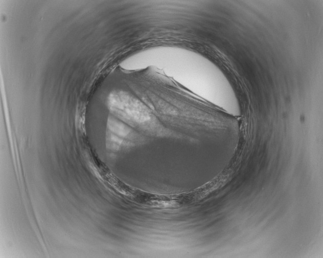 X0000085280552200704092209