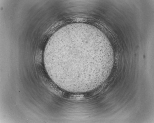 X0000085280554200704092209