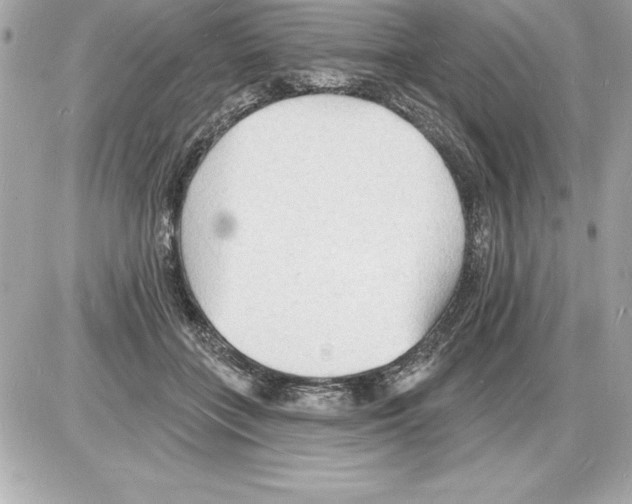 X0000085280555200704092209