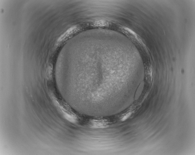 X0000085280556200704092209