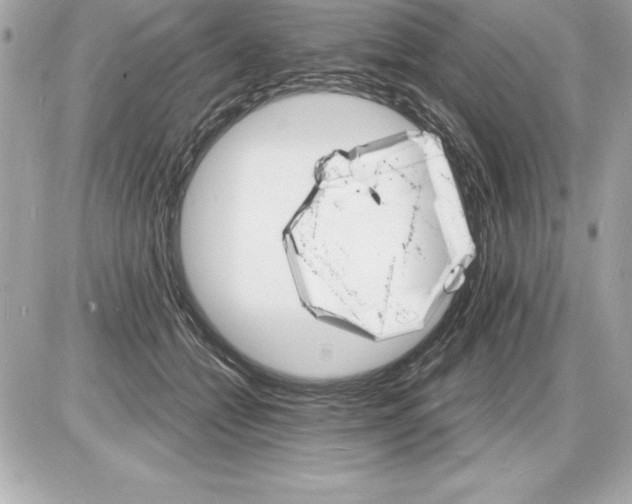 X0000085280558200704092209