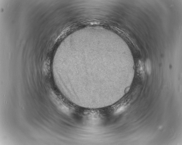 X0000085280559200704092209