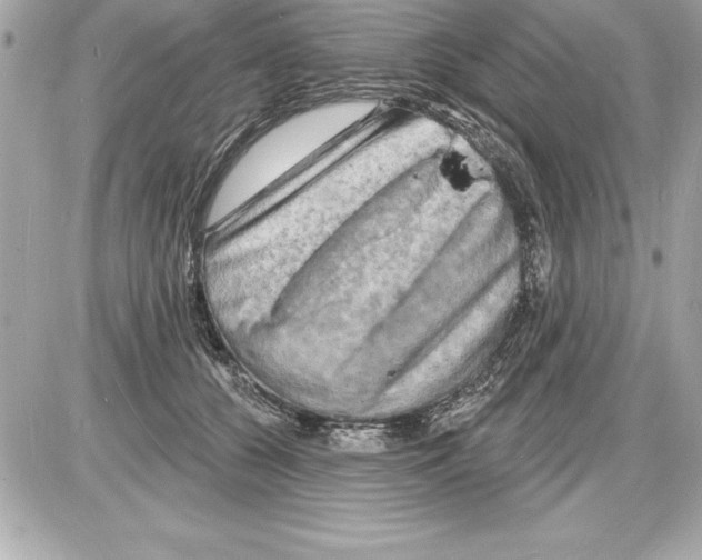 X0000085280560200704092209