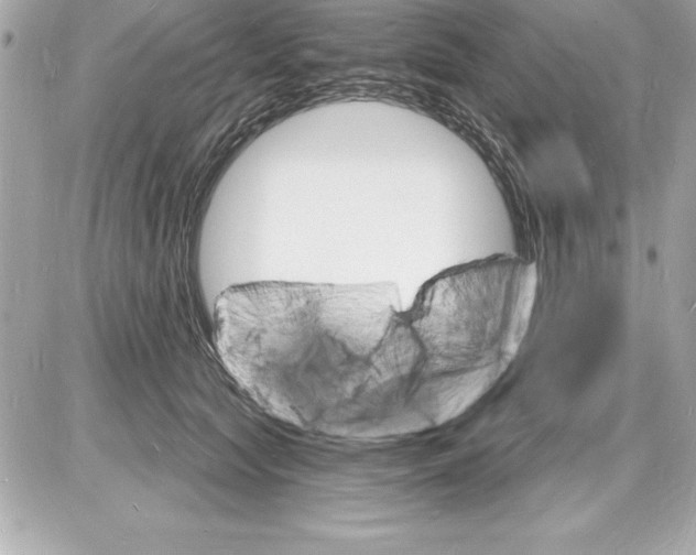 X0000085280561200704092209