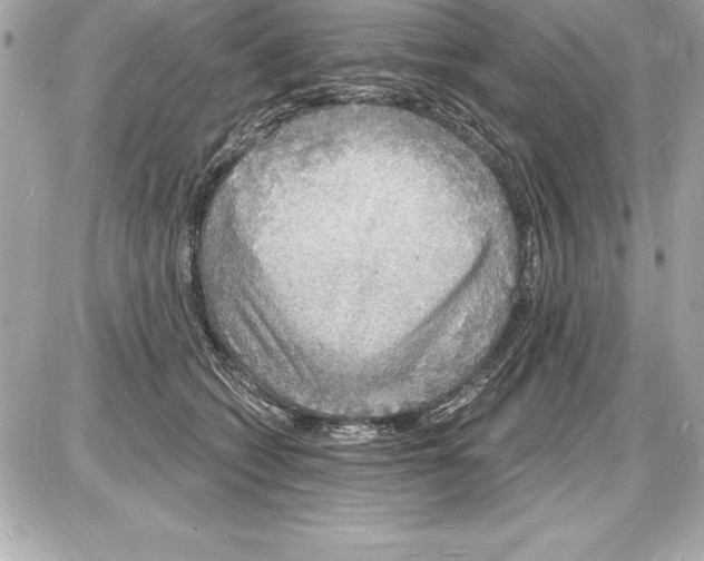 X0000085280562200704092209