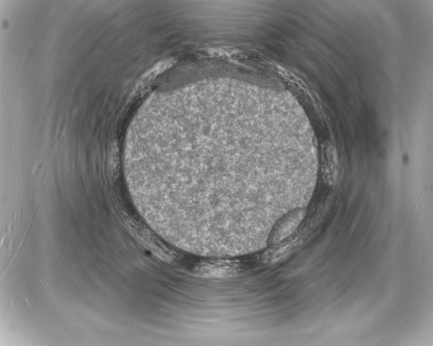 X0000085280563200704092209