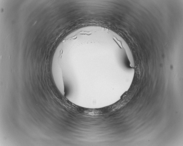 X0000085280564200704092209