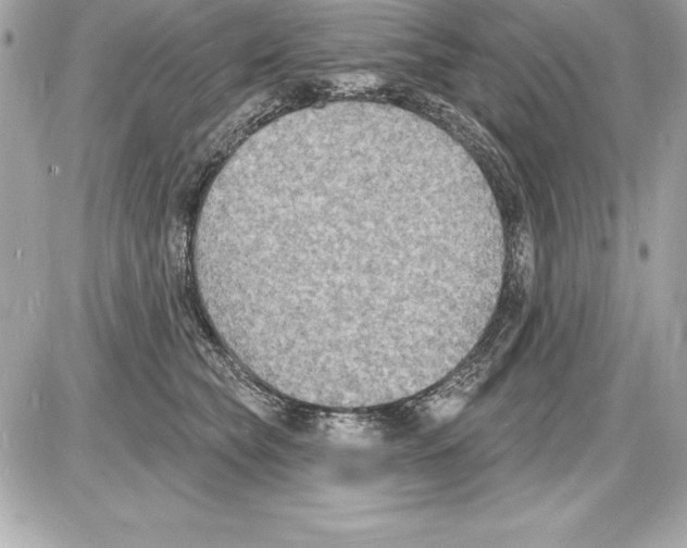 X0000085280565200704092209