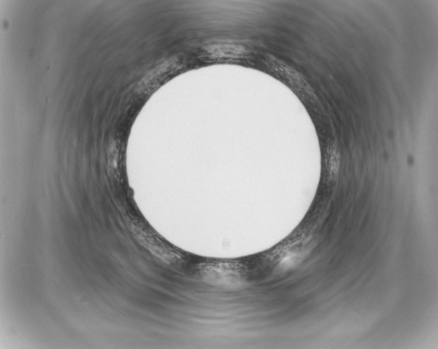 X0000085280567200704092209