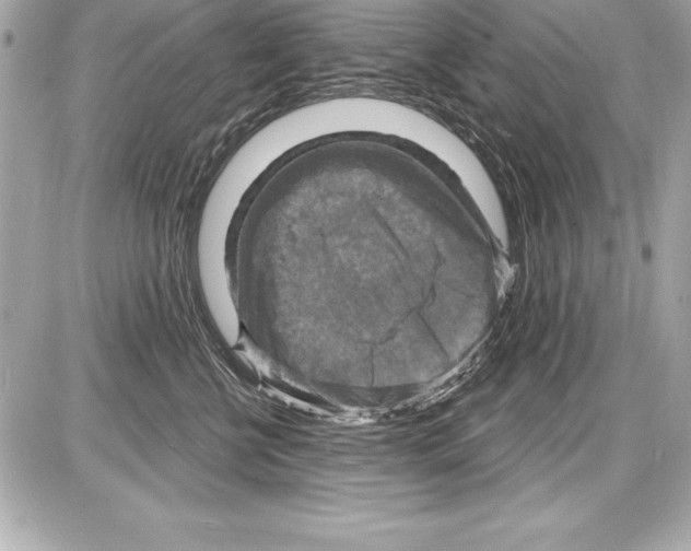 X0000085280570200704092209