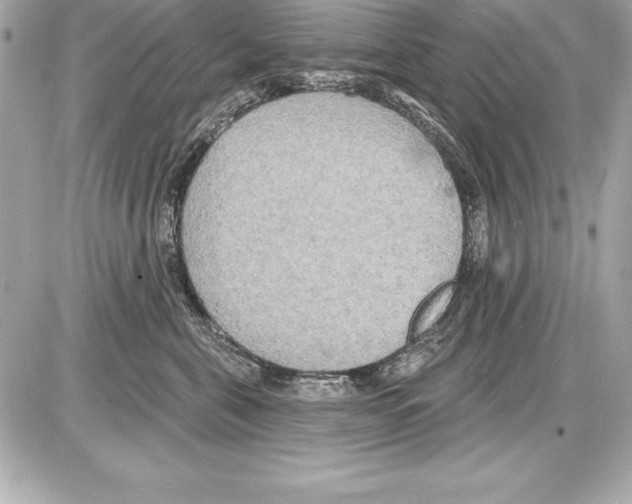 X0000085280571200704092209