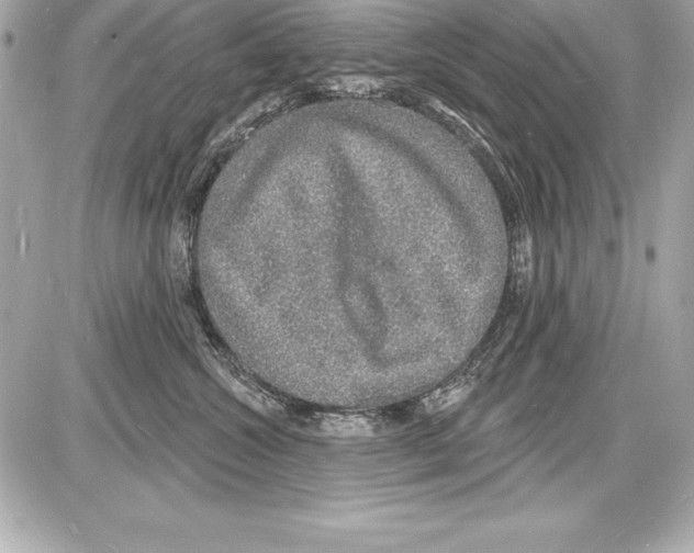 X0000085280572200704092209