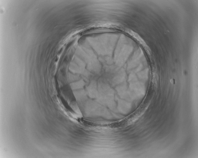 X0000085280577200704092209