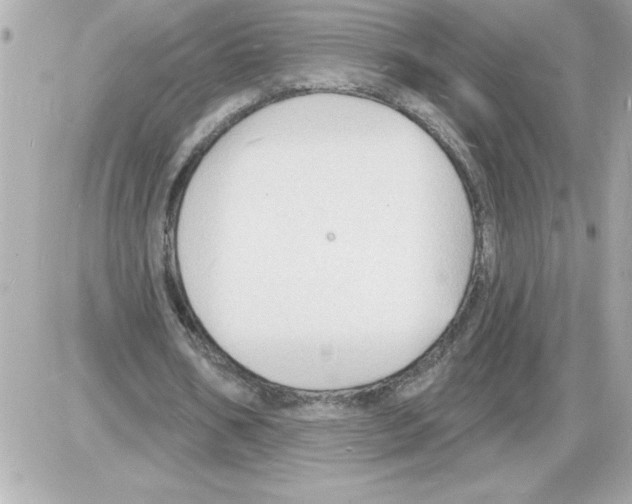 X0000085280578200704092209