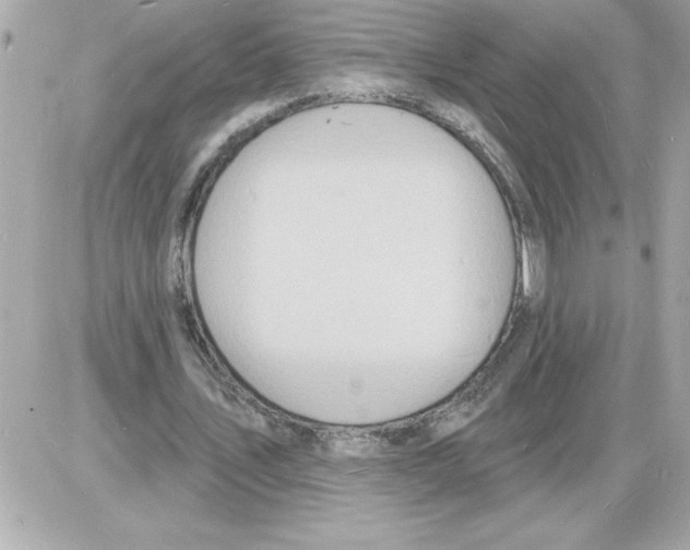 X0000085280579200704092209