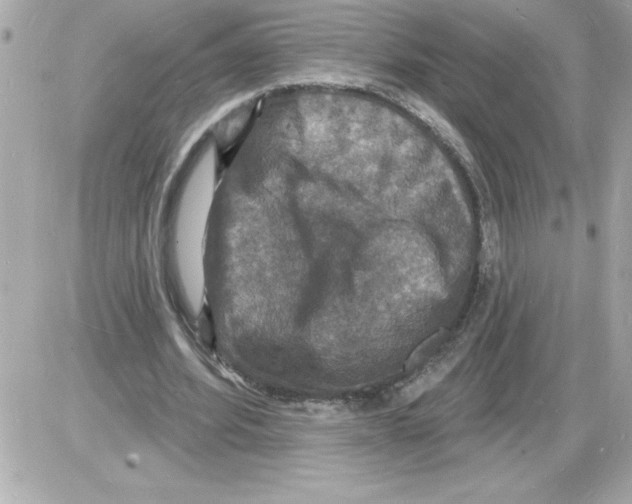 X0000085280580200704092209