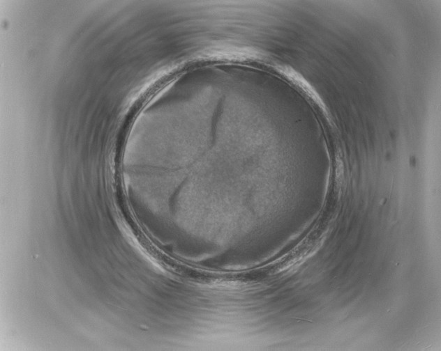 X0000085280581200704092209