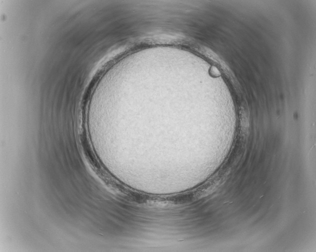 X0000085280582200704092209