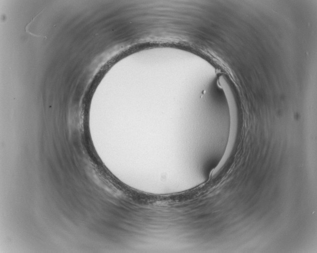 X0000085280584200704092209