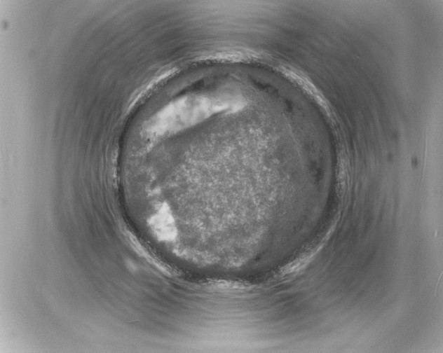 X0000085280585200704092209